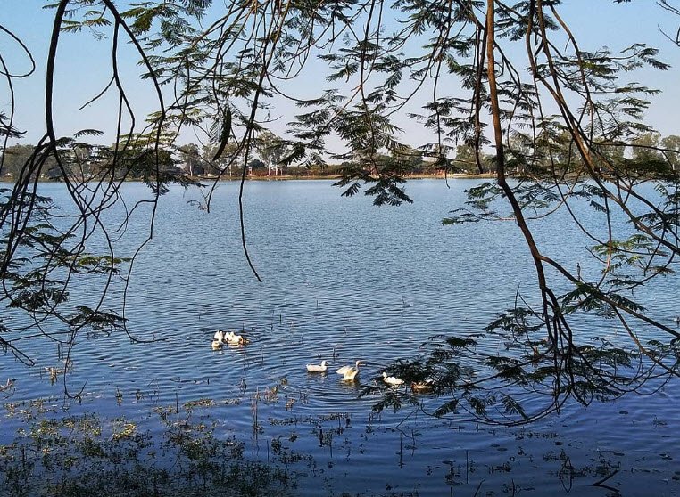 Gaurisagar Lake, Sivasagar, Assam - Vushii.com Gaurisagar Lake, Sivasagar, Assam - Vushii.com